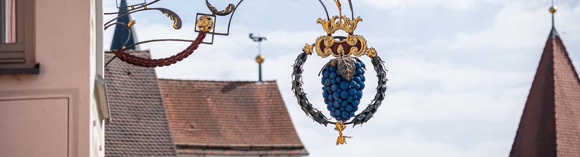Hotel-Gasthof Blaue Traube Titelbild